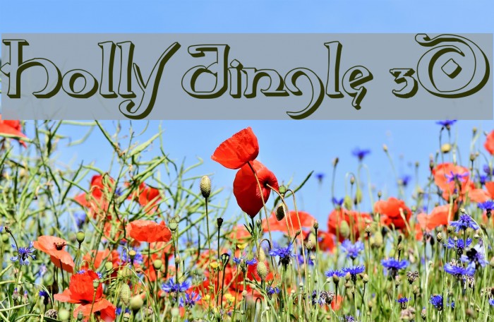 Holly Jingle 3D Example 2