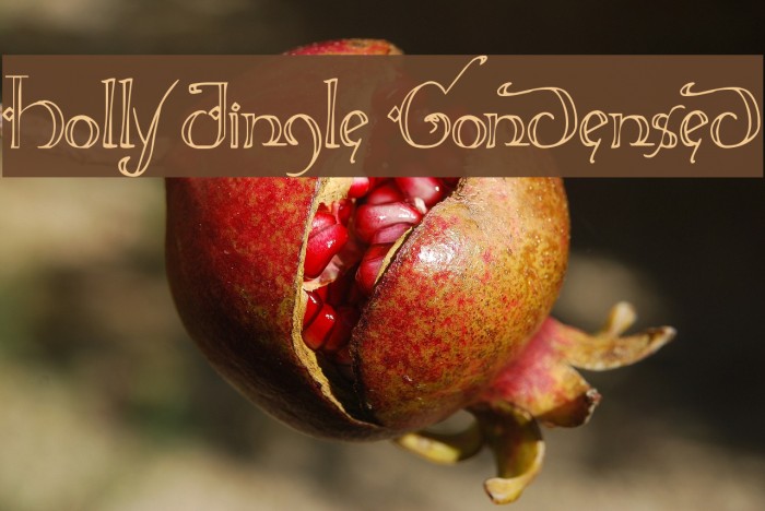 Holly Jingle Condensed Font examples