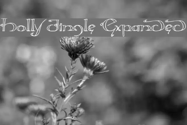 Holly Jingle Expanded Font examples