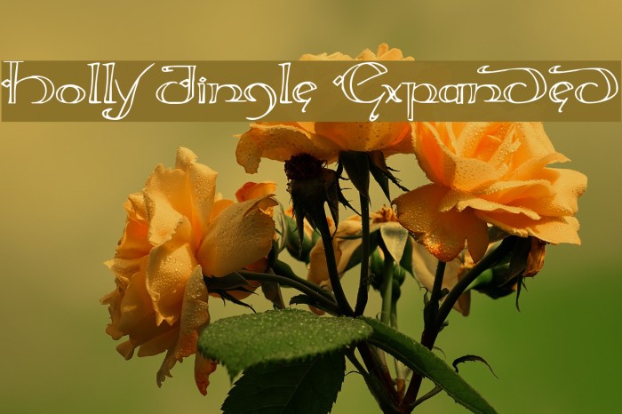 Holly Jingle Expanded Example 2