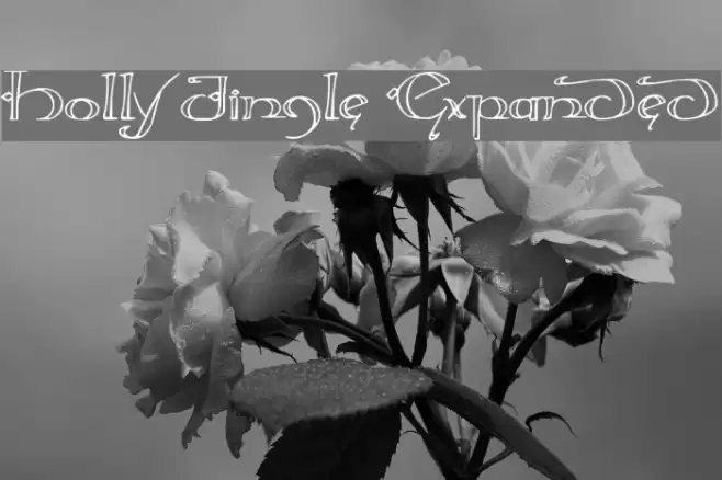 Holly Jingle Expanded Font examples