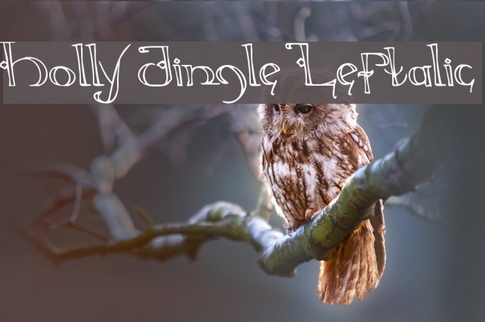 Holly Jingle Leftalic Example 1