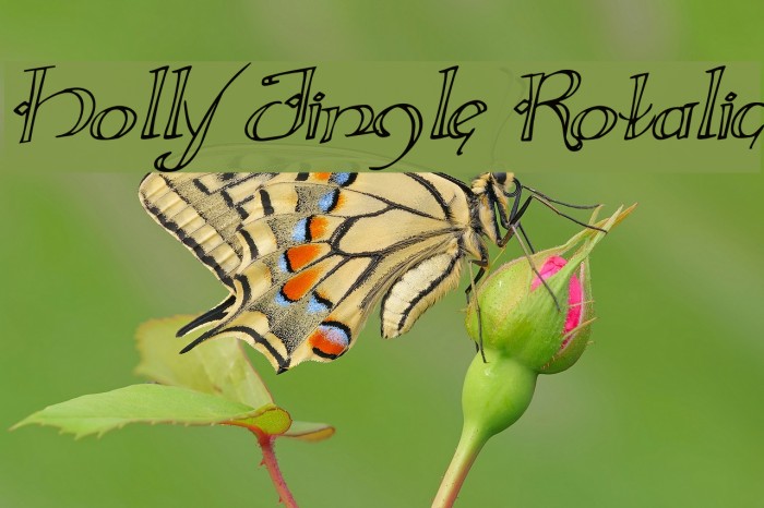 Holly Jingle Rotalic Example 1