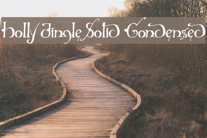 Holly Jingle Solid Condensed Example 2