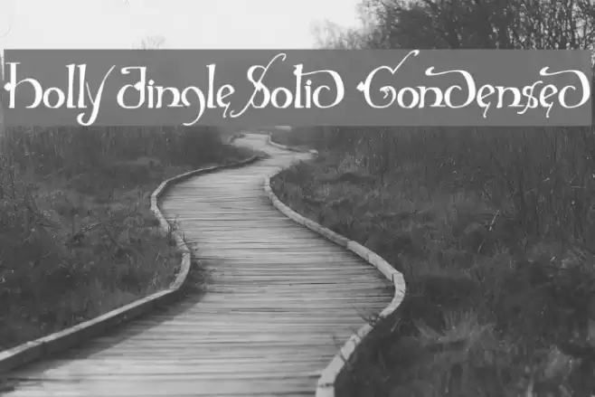 Holly Jingle Solid Condensed Font examples