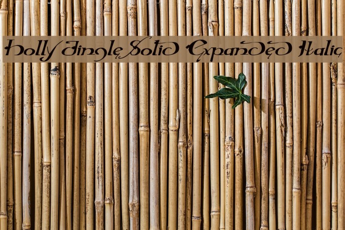 Holly Jingle Solid Expanded Italic Example 1
