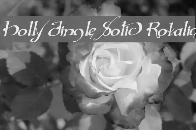 Holly Jingle Solid Rotalic Font examples