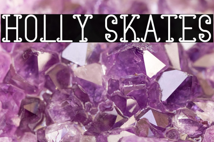 Holly Skates Example 2