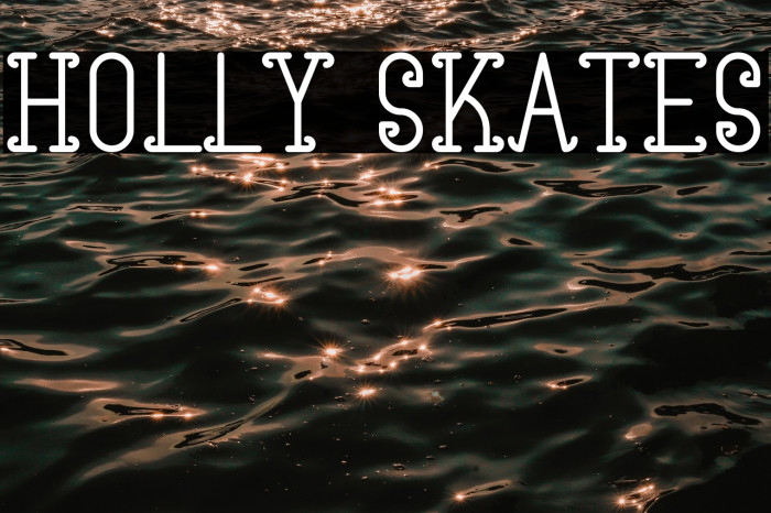 Holly Skates Example 3