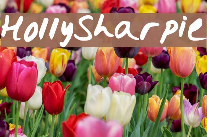 HollySharpie Font examples