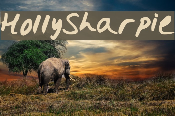 HollySharpie Font examples