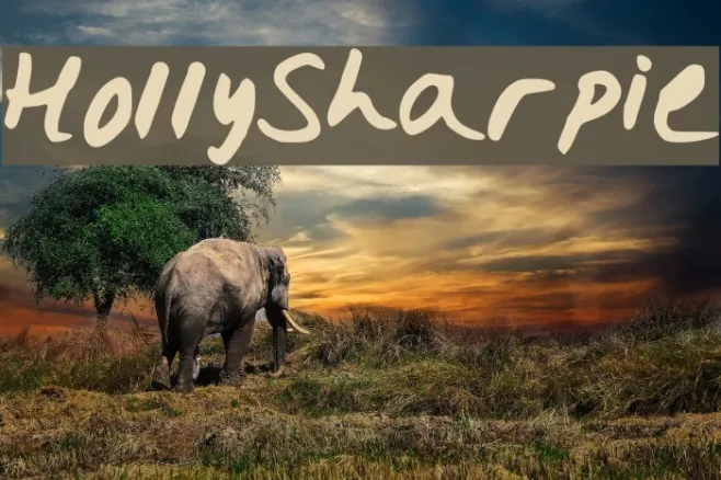 HollySharpie Example 3