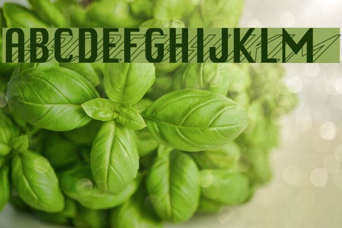 HollyWould Font examples