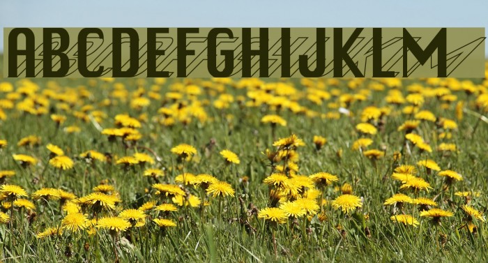 HollyWould Font examples