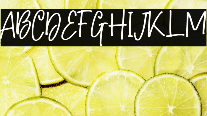 Hollybear-Regular Example 1