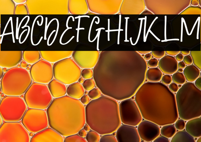 Hollybear-Regular Example 2