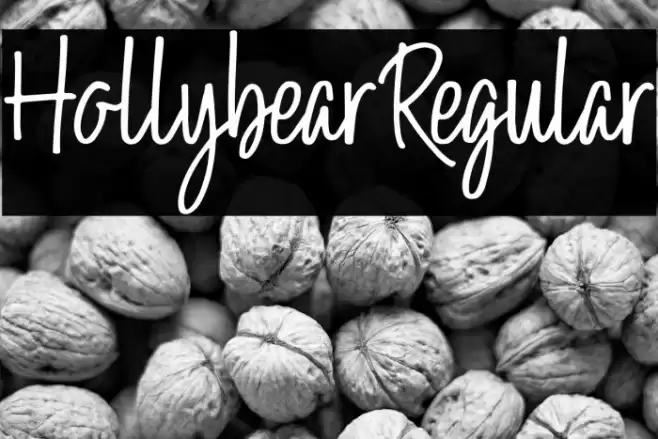 Hollybear-Regular Font examples