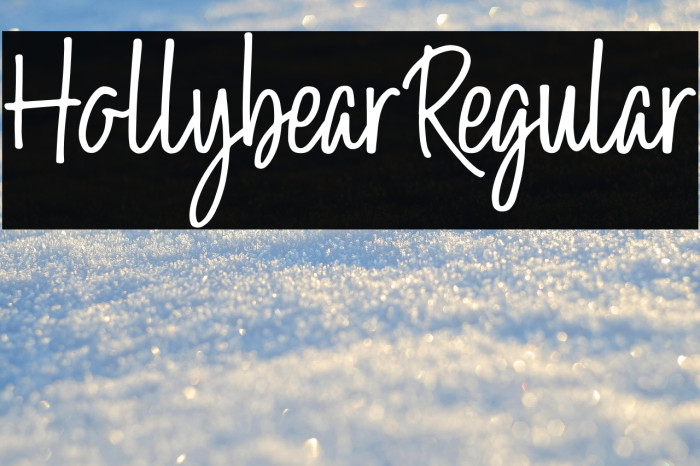 Hollybear-Regular Example 3