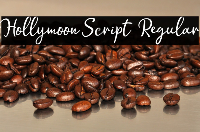 Hollymoon Script  Regular Example 3
