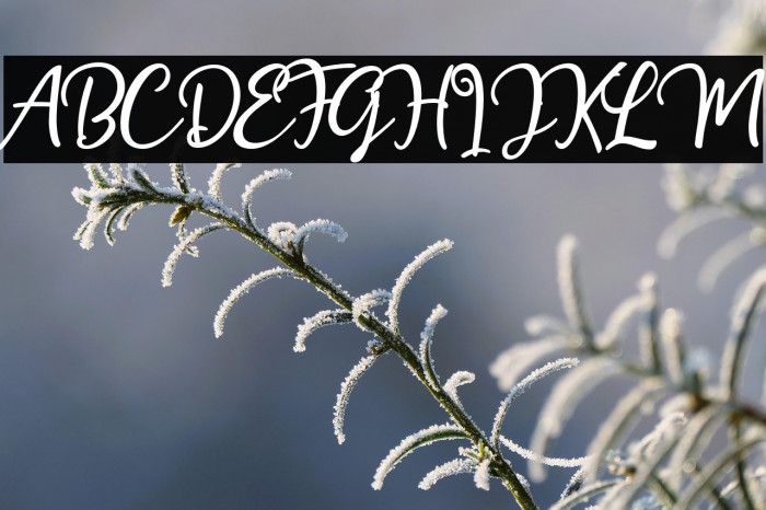 HollymoonScript-Regular Example 2