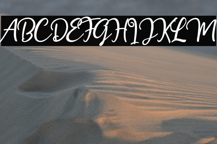 HollymoonScript-Regular Example 3