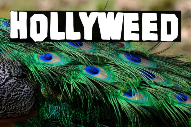 Hollyweed Example 3