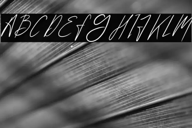 Hollywise Font examples