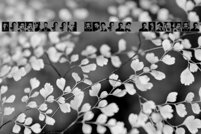 Hollywood Actors Regular Font examples