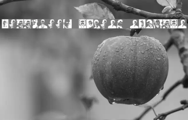 Hollywood Actors Regular Font examples