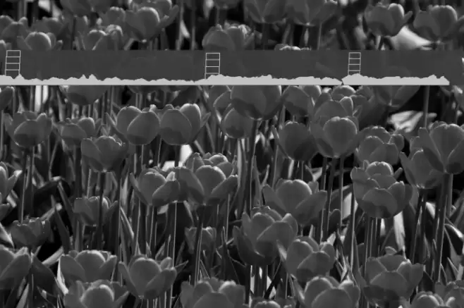 Hollywood Capital Blank Schriftart examples