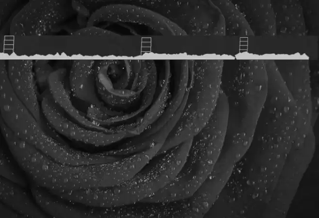 Hollywood Capital Blank Schriftart examples