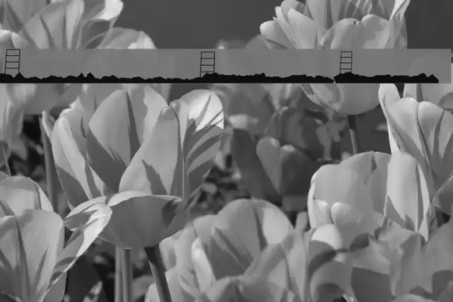 Hollywood Capital Blank Schriftart examples