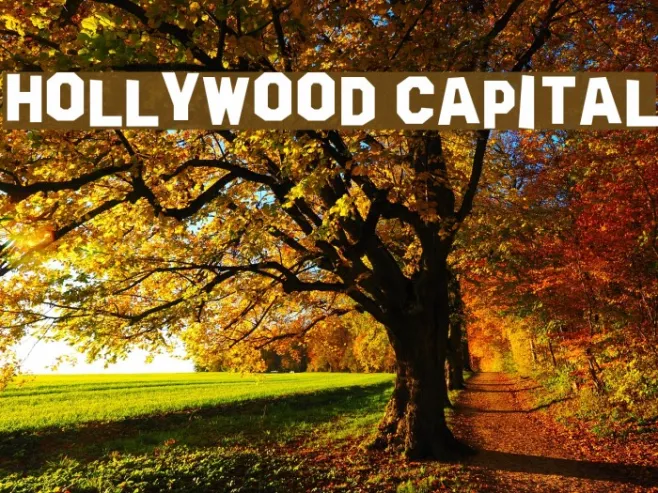 Hollywood Capital Example 2