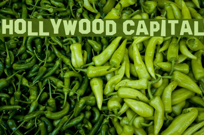 Hollywood Capital Font examples