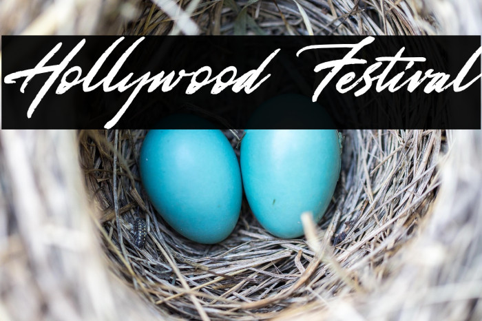 Hollywood Festival Example 2