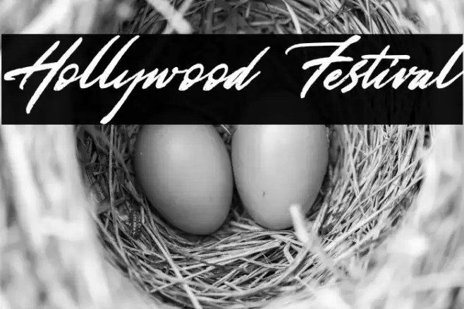 Hollywood Festival Font examples