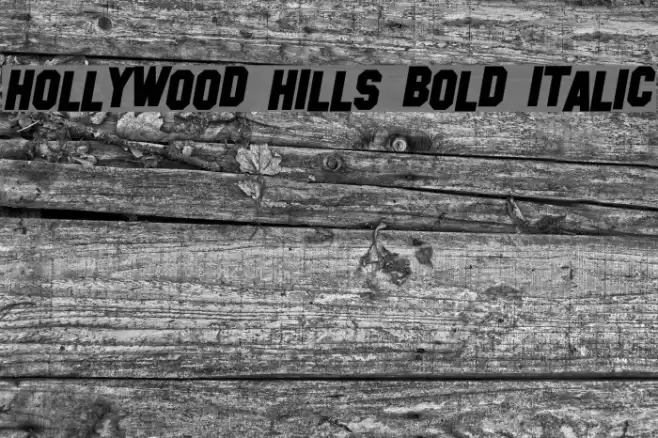 Hollywood Hills Bold Italic Fonte examples