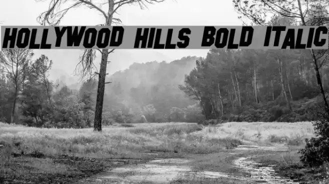 Hollywood Hills Bold Italic Fonte examples