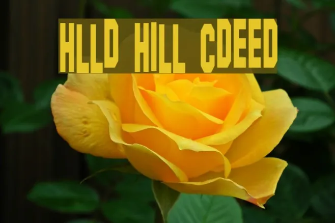 Hollywood Hills Condensed Example 1