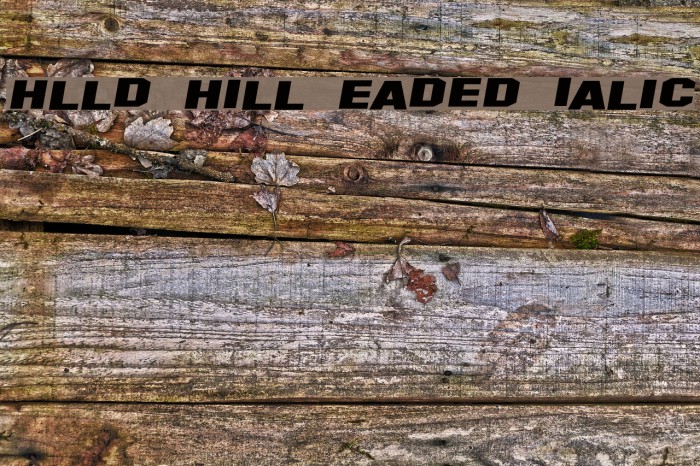 Hollywood Hills Expanded Italic Font examples
