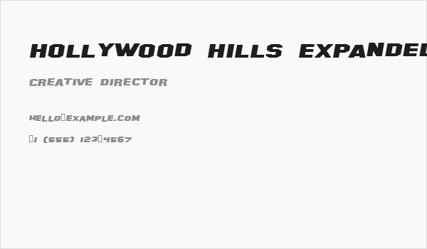 Hollywood Hills Expanded Italic Business Card