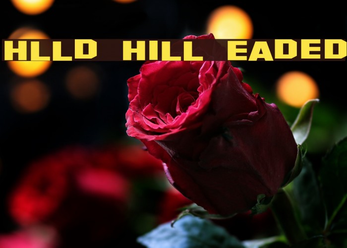 Hollywood Hills Expanded Font examples