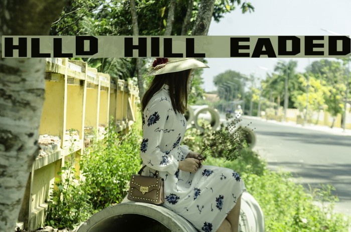 Hollywood Hills Expanded Font examples