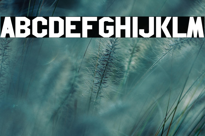 Hollywood Hills Example 1