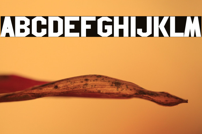 Hollywood Hills Example 2