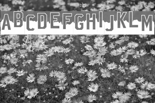 Hollywood X Font examples