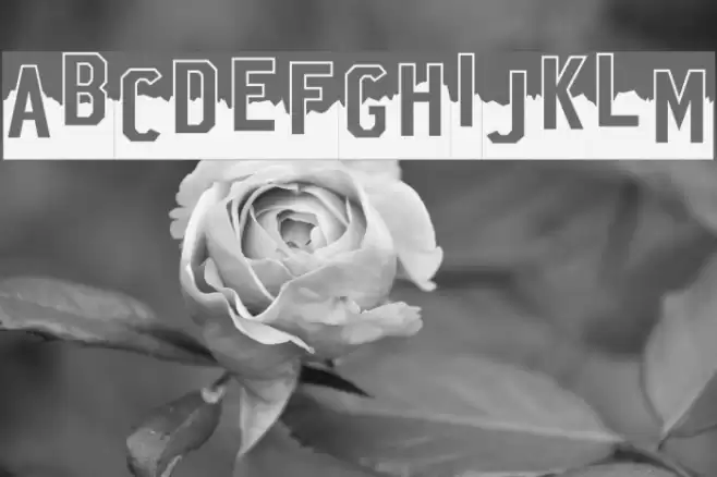 Hollywood X Font examples