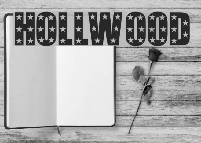 Hollywood Polices examples