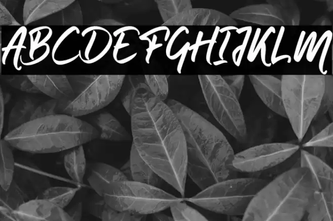 Holmeria Font examples