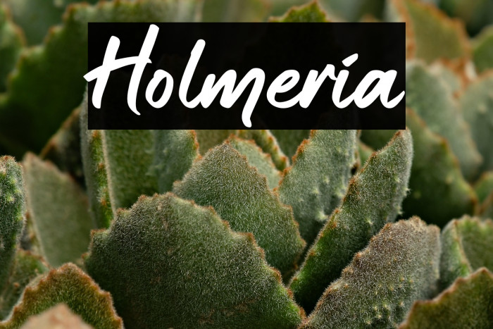 Holmeria Example 1